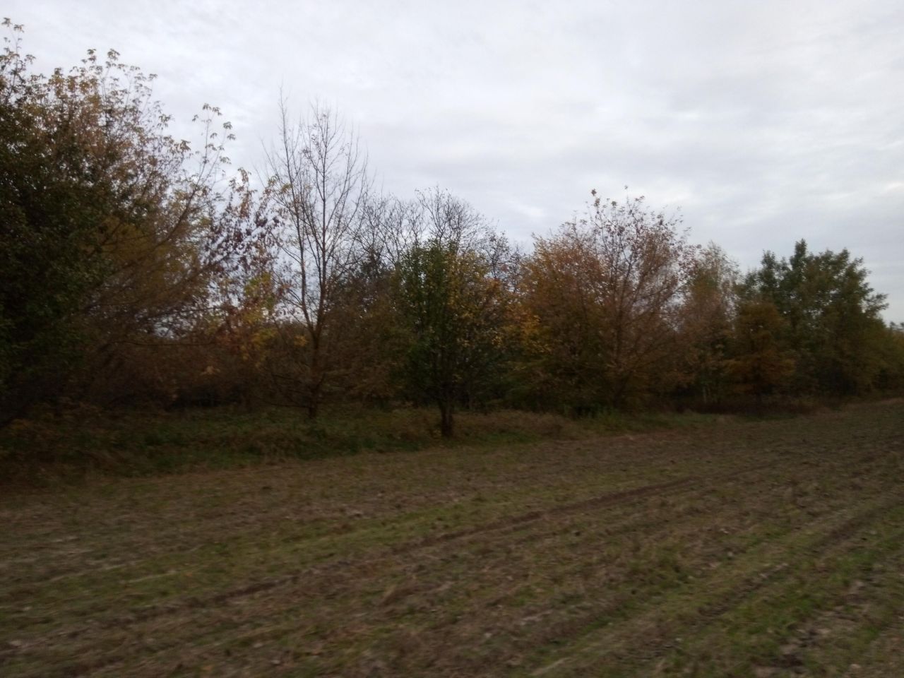 Działka rolno-budowlana Ławeczko Stare. Zdjęcie 9