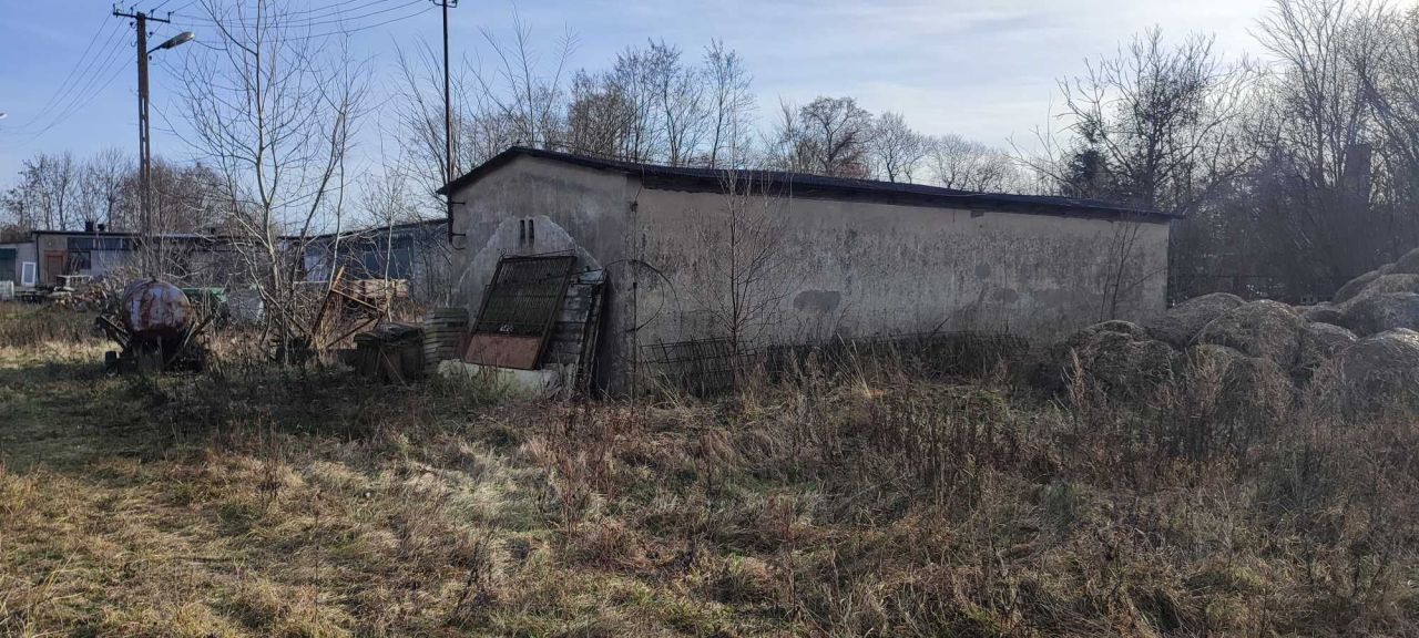 Hala/magazyn Kociszew. Zdjęcie 5