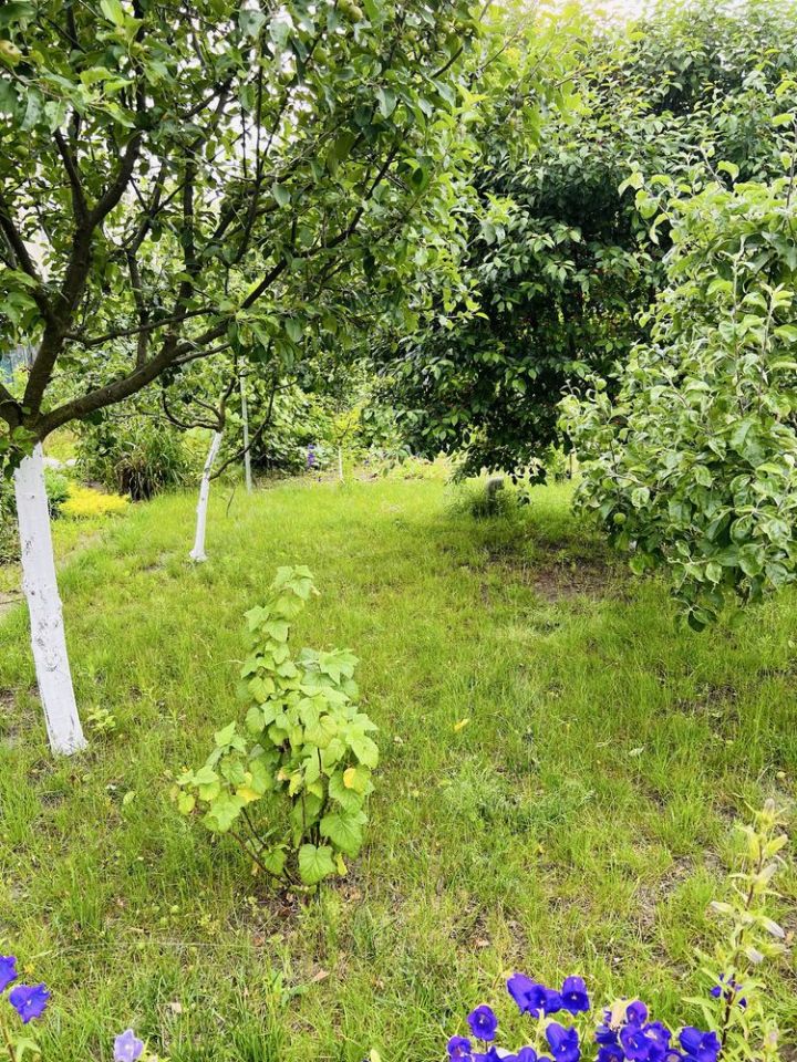 Działka rod Wrocław Psie Pole, ul. Toruńska. Zdjęcie 6