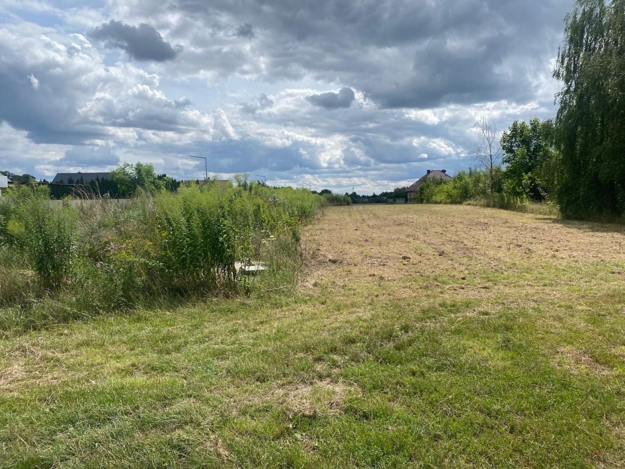 Działka budowlana Brzezie k. Sulechowa. Zdjęcie 5
