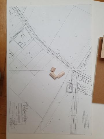 Działka siedliskowa Łęg. Zdjęcie 4