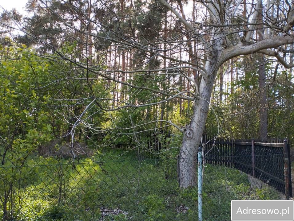 Działka rod Zielona Góra Jędrzychów, ul. Podwójna. Zdjęcie 4
