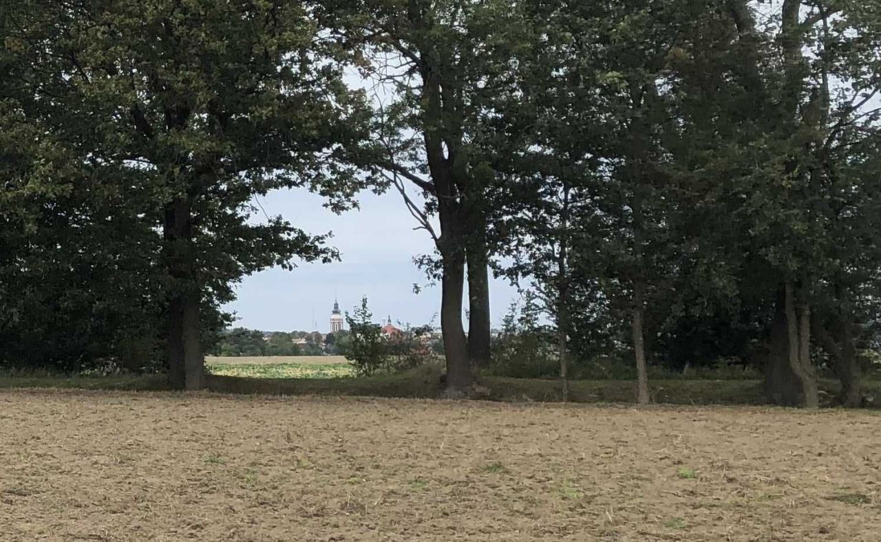 Działka budowlana Syców, ul. Polna. Zdjęcie 3