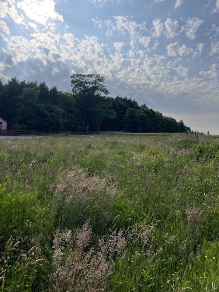 Działka budowlana Łabiszewo. Zdjęcie 3