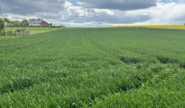 Działka budowlana Rzeplin