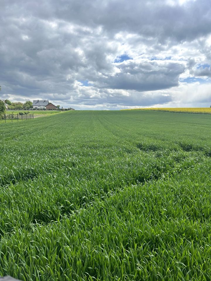 Działka budowlana Rzeplin