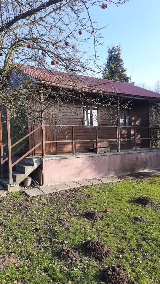 Działka rod Sulechów. Zdjęcie 2