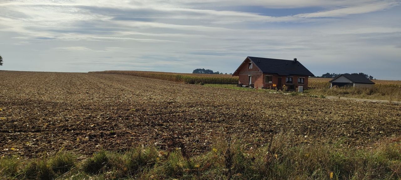 Działka budowlana Piotrków Borowski. Zdjęcie 4