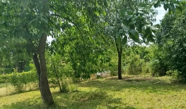 Działka rod Namysłów