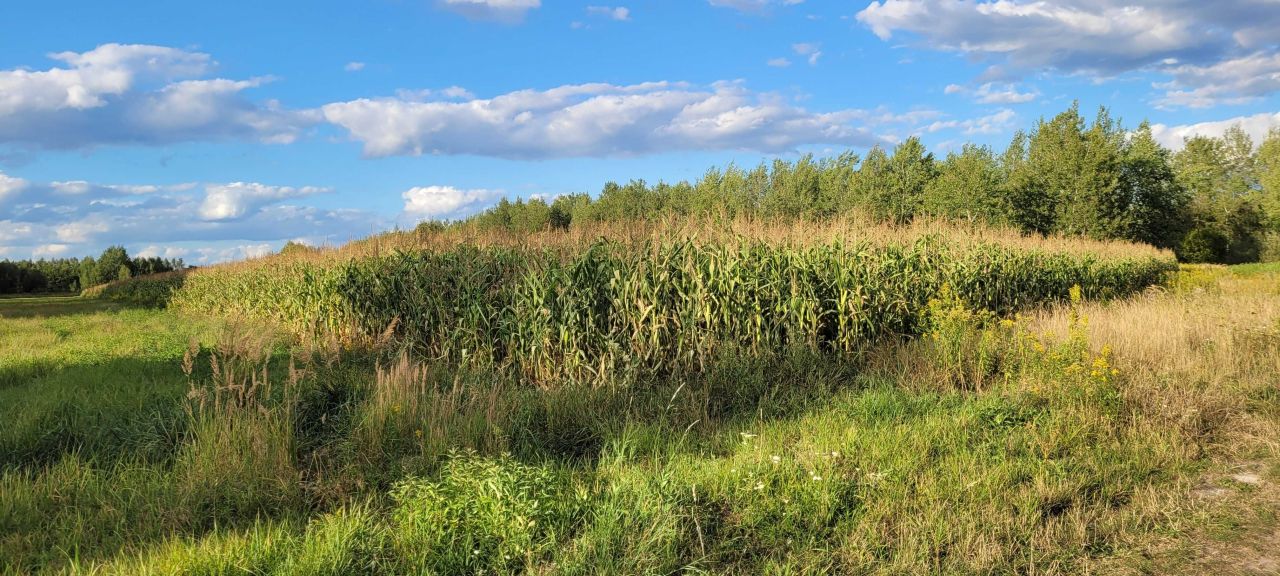 Działka inwestycyjna Lubaczów. Zdjęcie 7