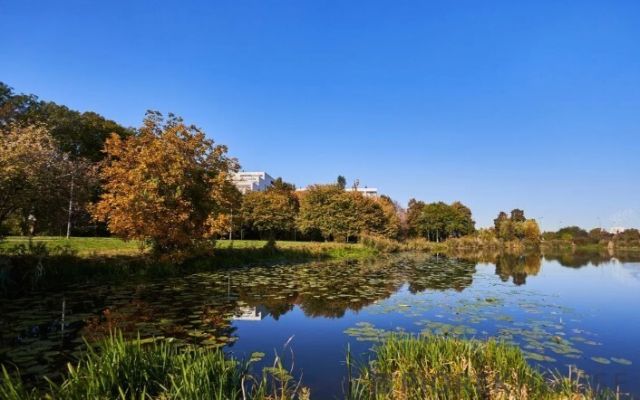 Mieszkanie 2-pokojowe Warszawa Praga-Południe, ul. Ostrzycka. Zdjęcie 13