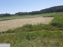 Działka rolna Różnowo. Zdjęcie 3