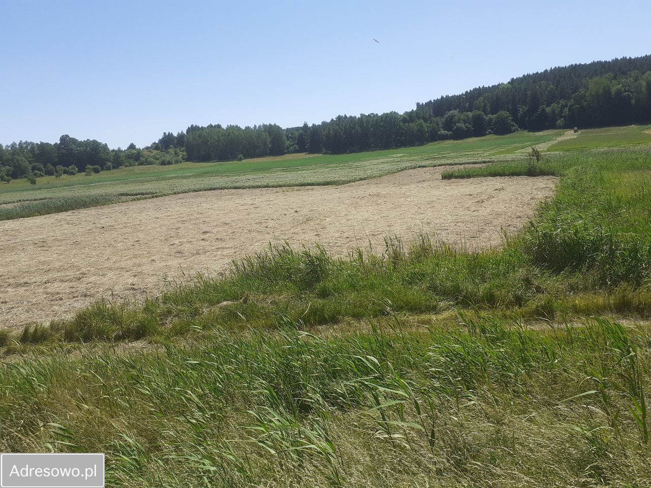 Działka rolna Różnowo. Zdjęcie 4