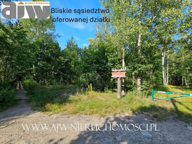 Działka budowlana Izabelin C. Zdjęcie 3