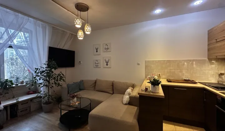 Mieszkanie 2-pokojowe Łódź Śródmieście