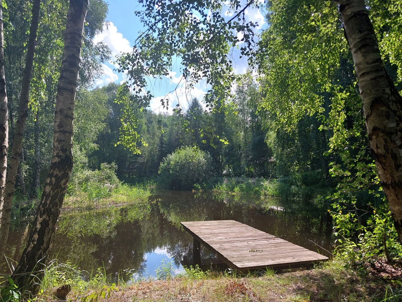 Działka budowlana Starzykowo. Zdjęcie 13
