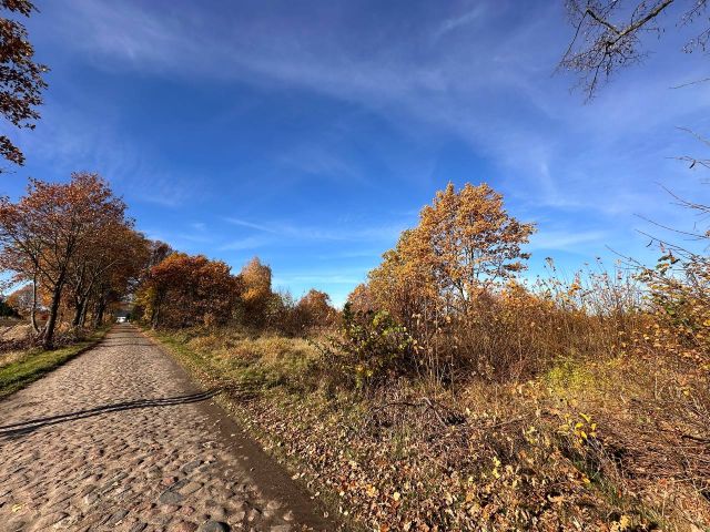 Działka budowlana Chełmica. Zdjęcie 1