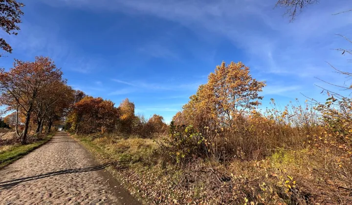 Działka budowlana Chełmica