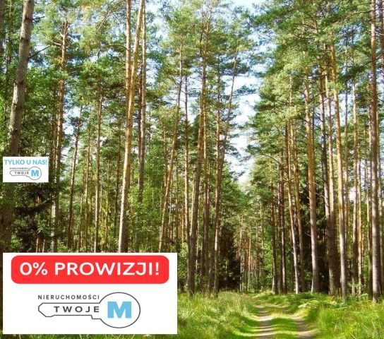 Działka leśna Chmielnik. Zdjęcie 1
