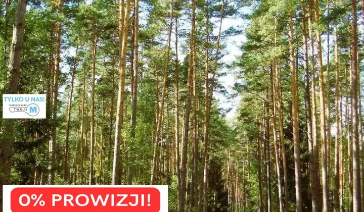 Działka leśna Chmielnik