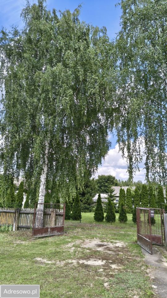 Działka rekreacyjna Rząśnik-Majdan. Zdjęcie 7