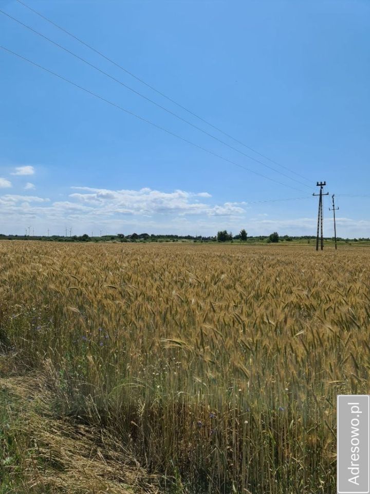 Działka rolna Stojkowo. Zdjęcie 6