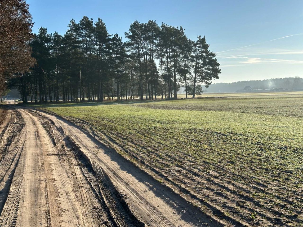 Działka budowlana Jabłonna, ul. Piaskowa. Zdjęcie 4
