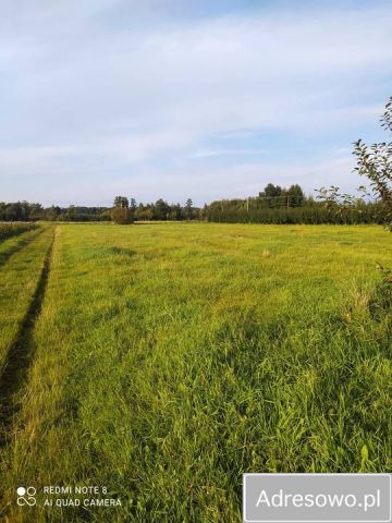 Działka rolna Prace Małe, ul. Polna. Zdjęcie 1