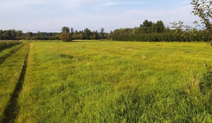 Działka rolna Prace Małe, ul. Polna