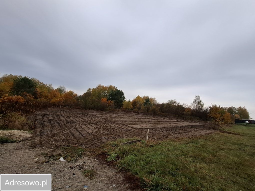 Działka rolno-budowlana Dębe Wielkie. Zdjęcie 6