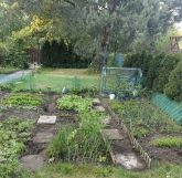 Działka rod Częstochowa Grabówka, ul. Ikara. Zdjęcie 4