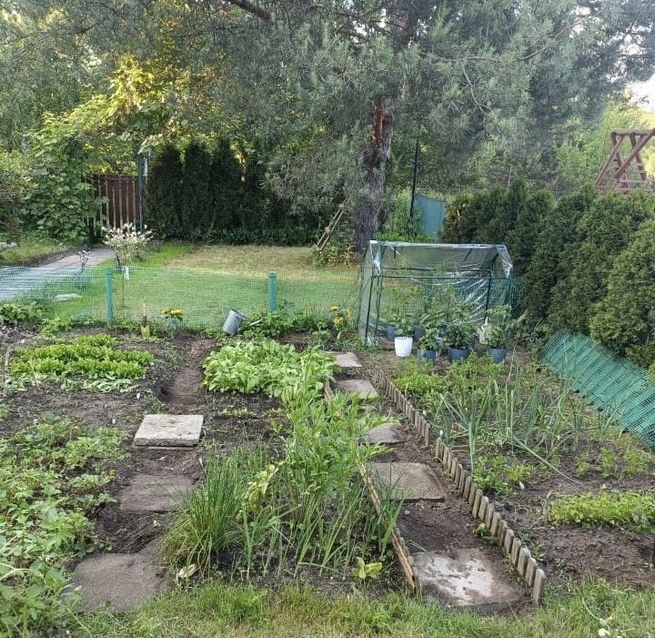 Działka rod Częstochowa Grabówka, ul. Ikara. Zdjęcie 5