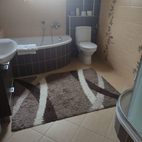 dom wolnostojący, 7 pokoi Solec-Zdrój Janów, Janow. Zdjęcie 4