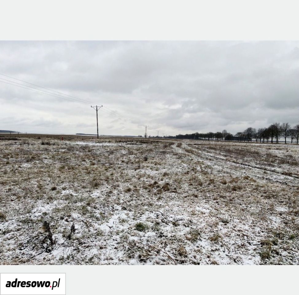 Działka budowlana Cybinka, ul. Białkowska. Zdjęcie 6