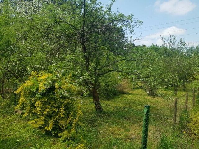 Działka rekreacyjna Wrocław Karłowice, ul. Kętrzyńska. Zdjęcie 1