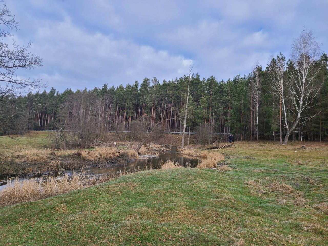 Działka inna Pełch. Zdjęcie 7