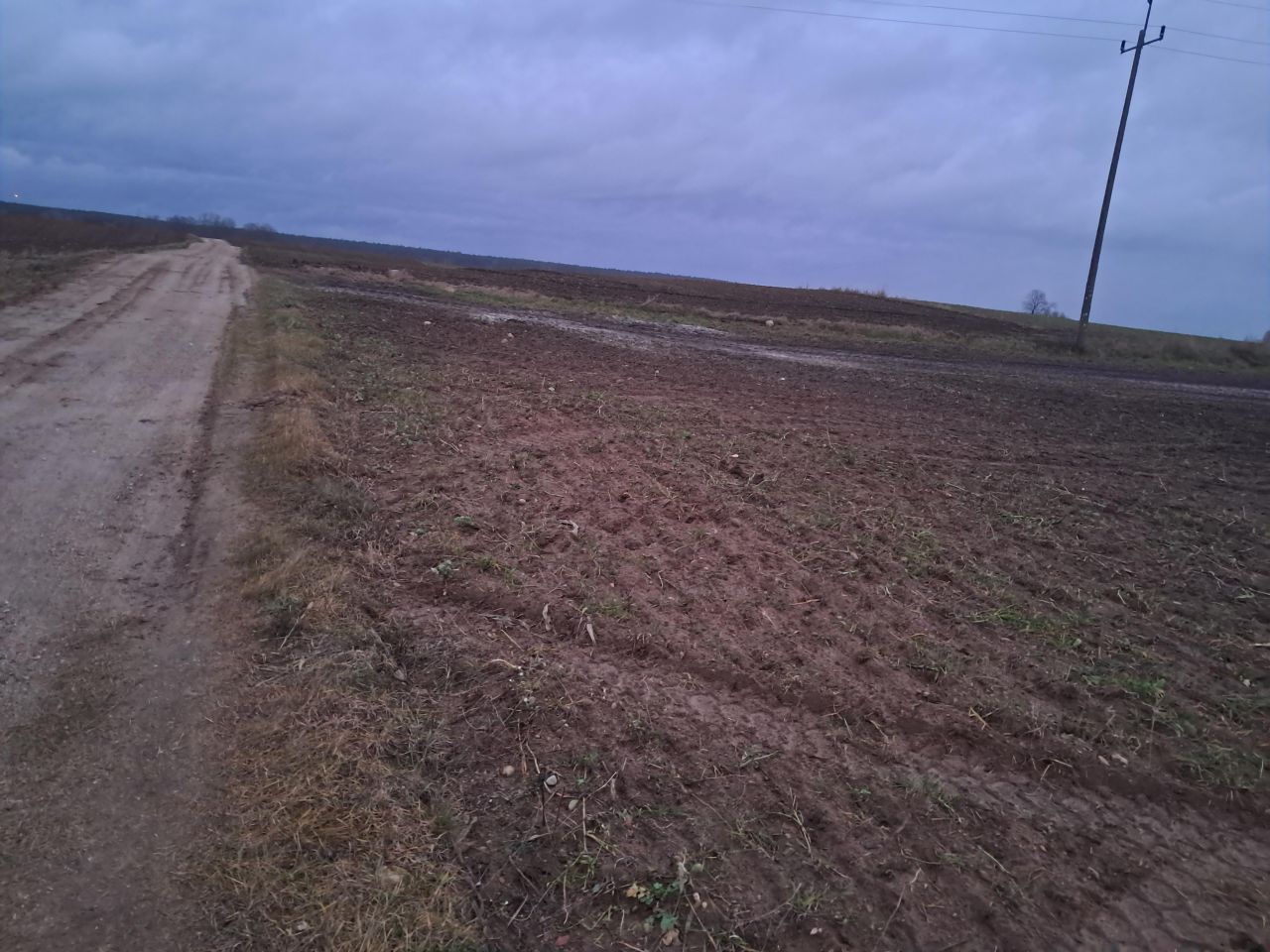 Działka rolno-budowlana Korkliny. Zdjęcie 2