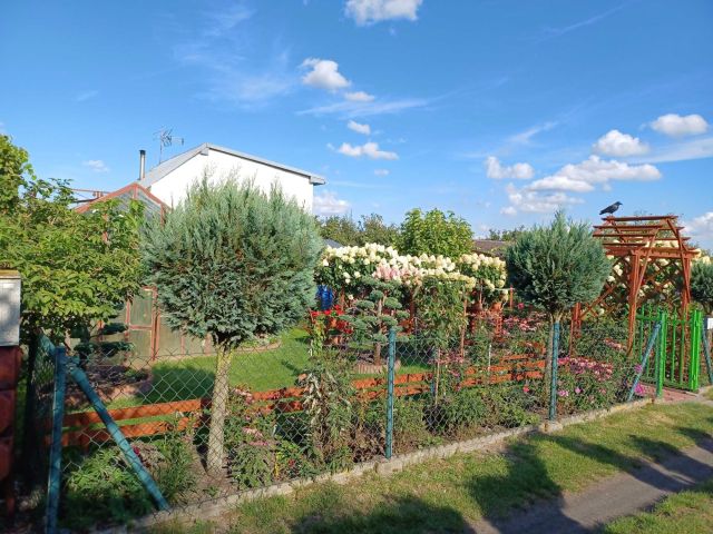 Działka rod Bełchatów. Zdjęcie 1