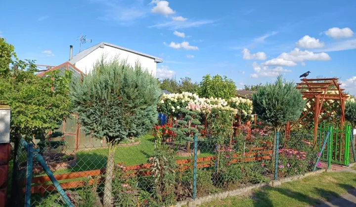 Działka rod Bełchatów