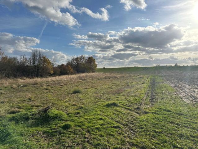 Działka rolna Grabno. Zdjęcie 1