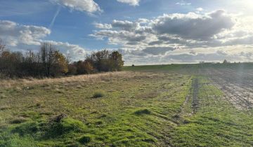 Działka rolna Grabno