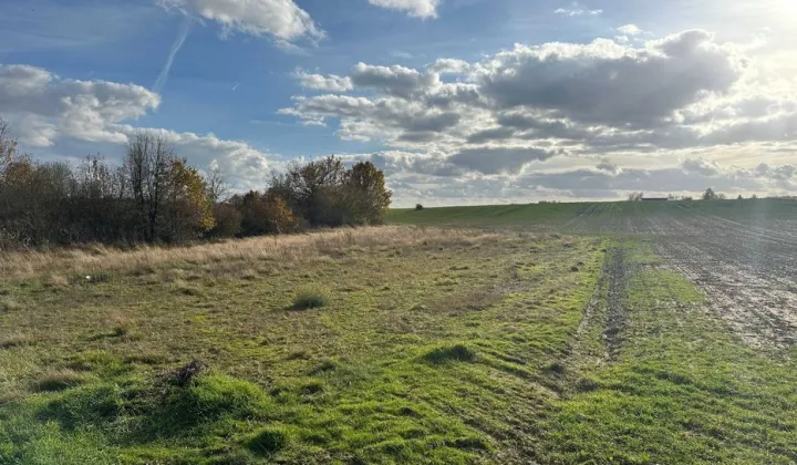 Działka rolna Grabno