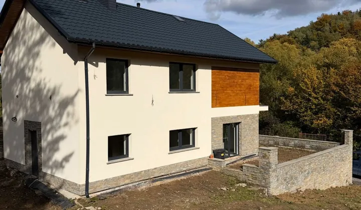 dom wolnostojący Dąbie