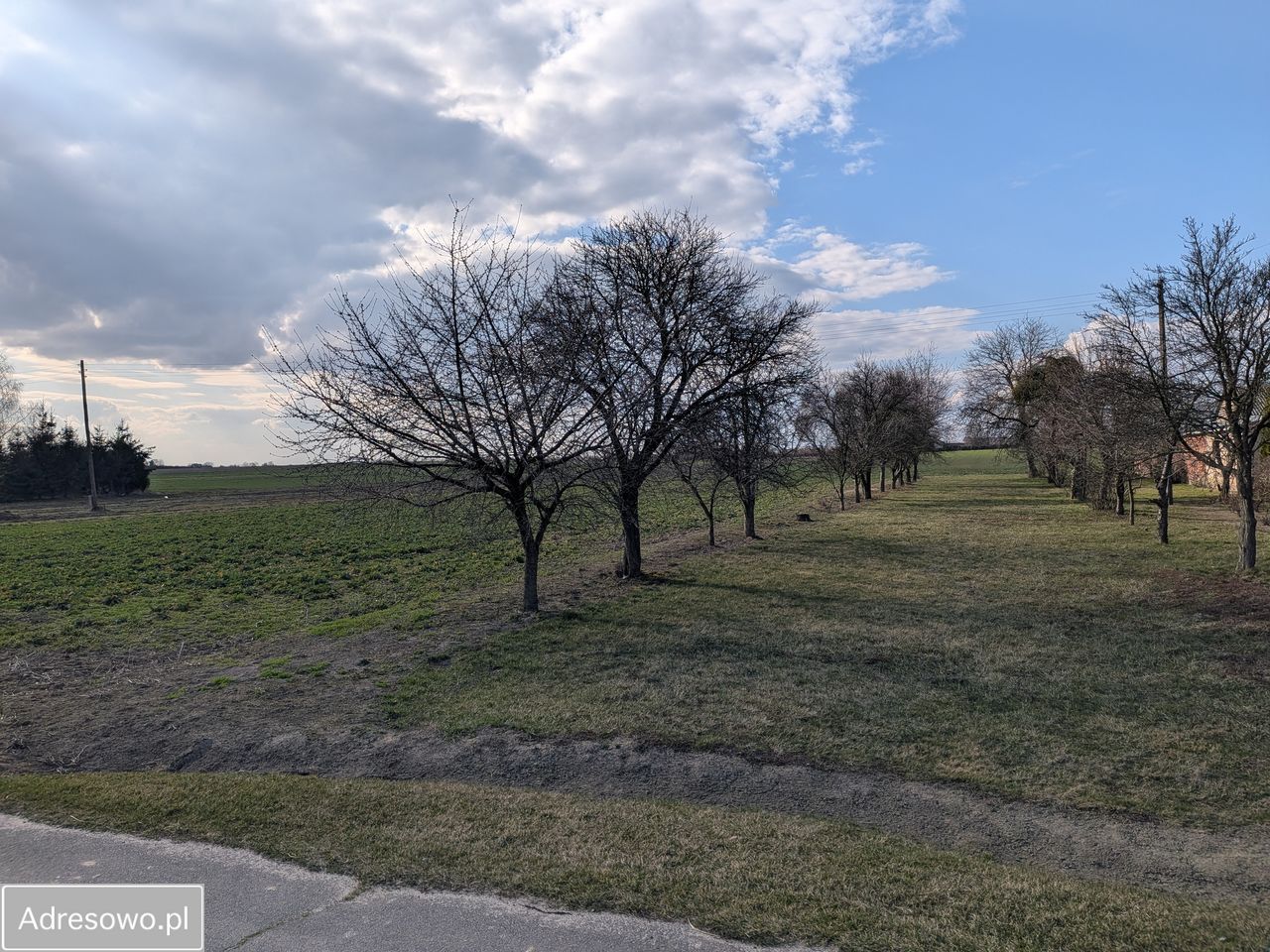 Działka budowlana Zagrody, ul. Cisowa. Zdjęcie 3