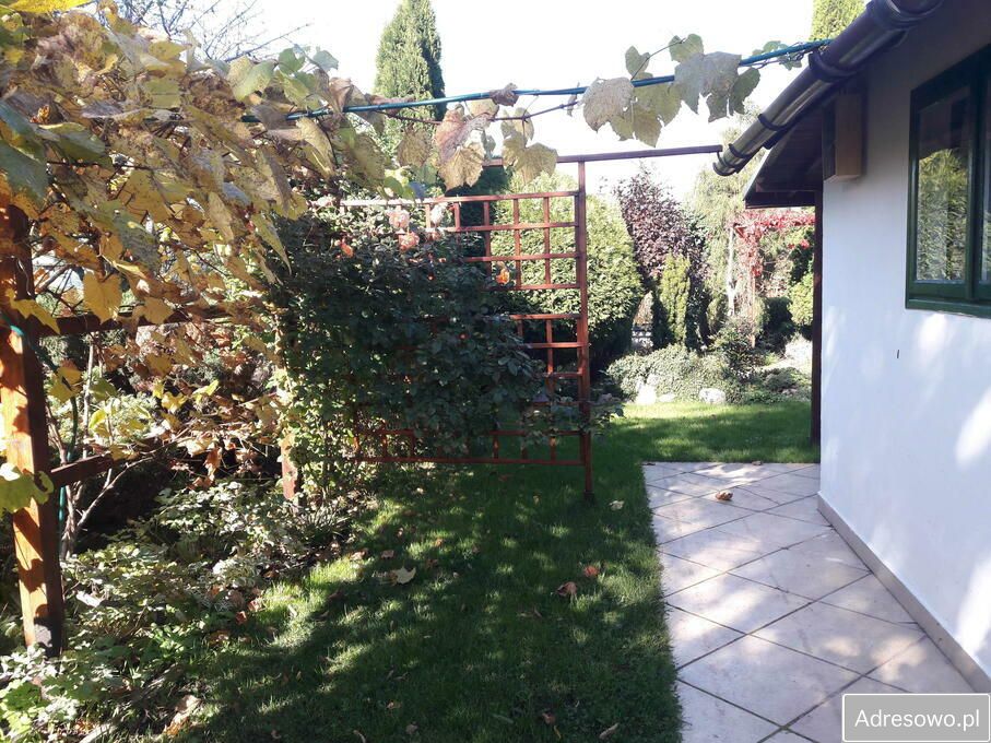 Działka rod Tarnobrzeg. Zdjęcie 10