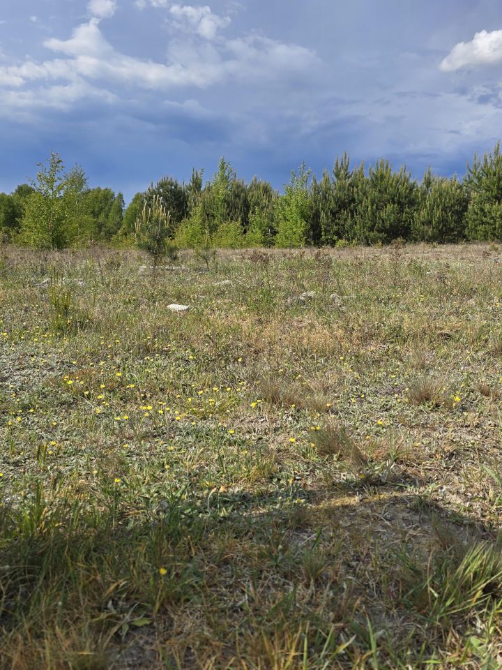 Działka budowlana Brzozowe Błota. Zdjęcie 6