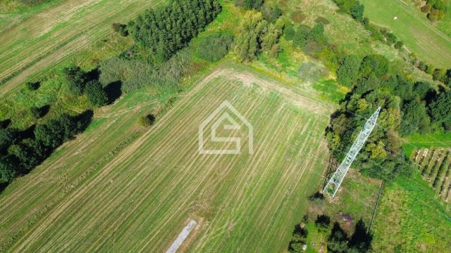 Działka rolna Bochnia Kurów. Zdjęcie 4