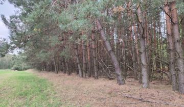 Działka leśna Miłosław