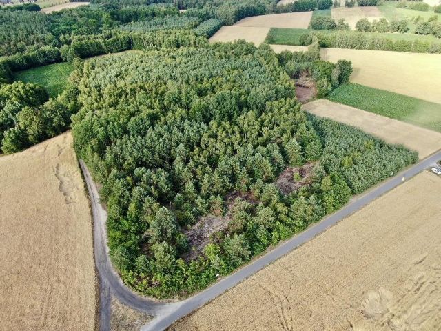 Działka budowlana Czarnybród. Zdjęcie 8
