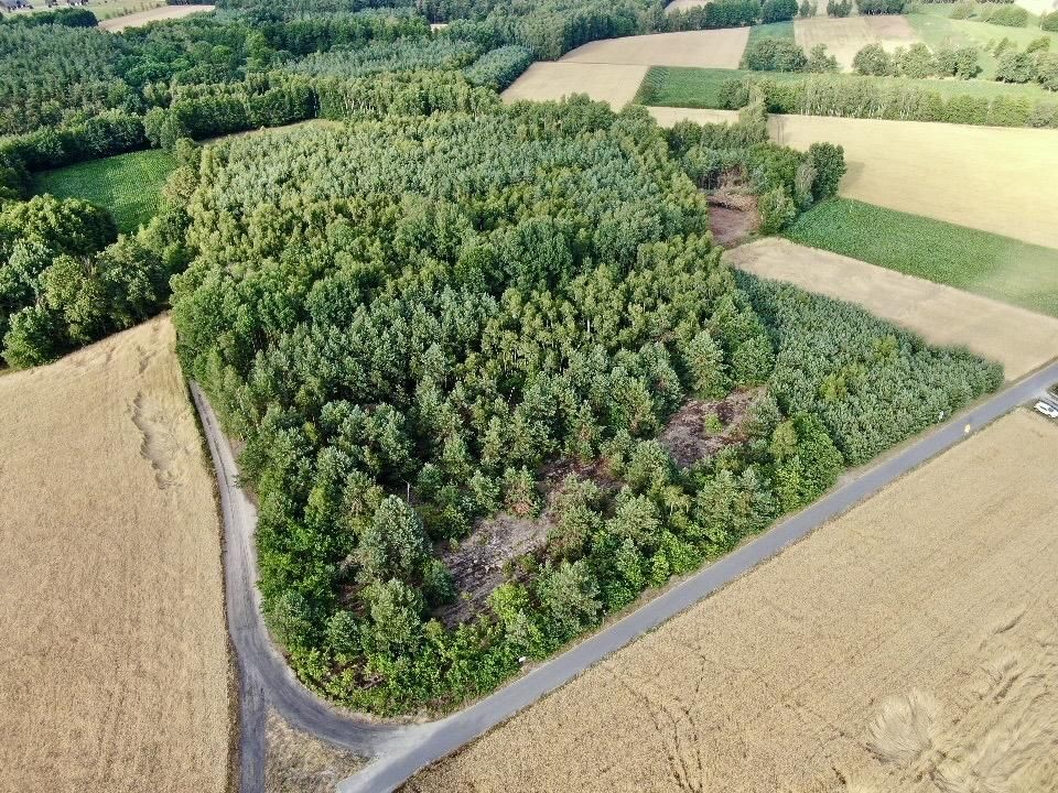 Działka budowlana Czarnybród. Zdjęcie 8